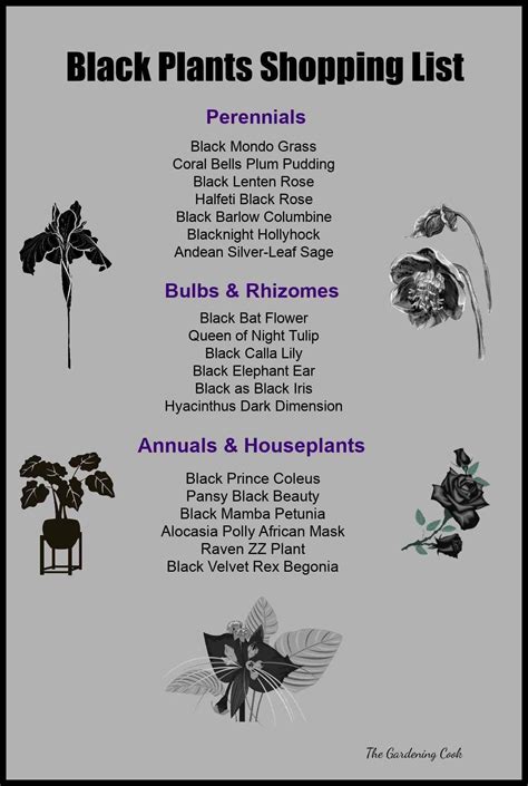 Creating a goth garden with black plants – Artofit