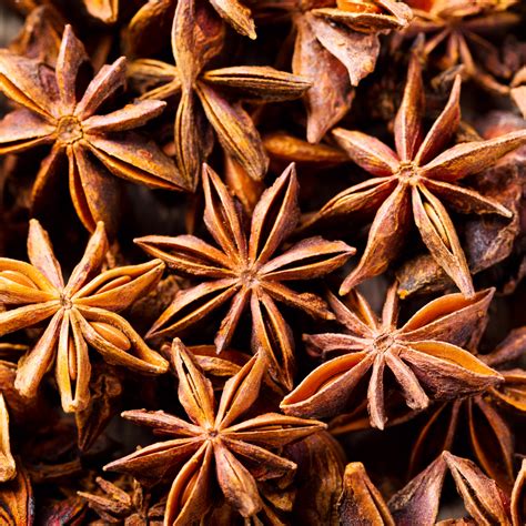 Star Anise - 50 gms — Countryfied