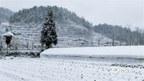 下雪啦！贵州多地今冬初雪如期而至 天地浑然一体-图片频道-中国天气网