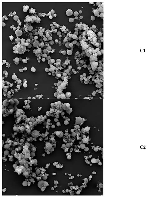 Physical and Functional Properties of Powders Obtained during Spray ...