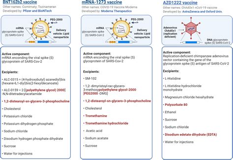 COVID‐19 vaccines and the role of other potential allergenic components different from PEG. A ...