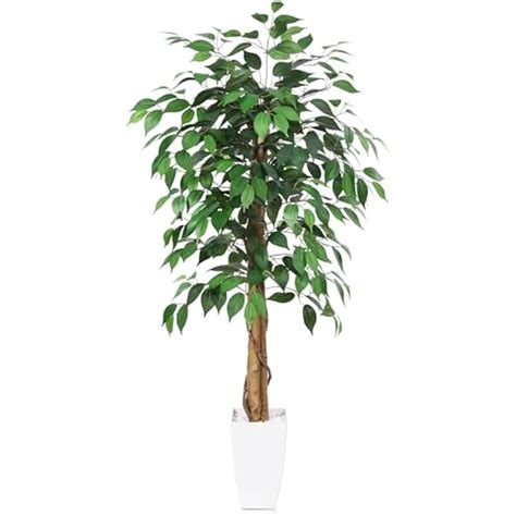 Kazeila 4FT Artificial Palm Tree with White Taper Planter - India | Ubuy