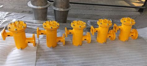 Industrial Strainers - Basket Type Strainers Service Provider from Vasai