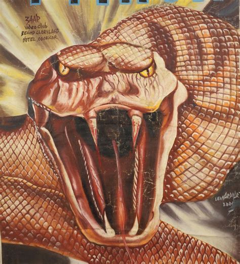 Python Horror Movies 的图像结果