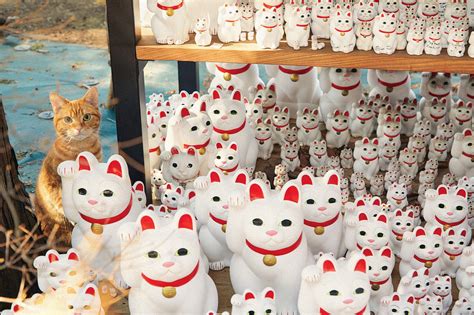 Why Do Cats Hold Such Mythic Power in Japan? - The New York Times