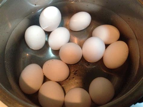 清水煮鴿子蛋怎么做_清水煮鴿子蛋的做法_豆果美食