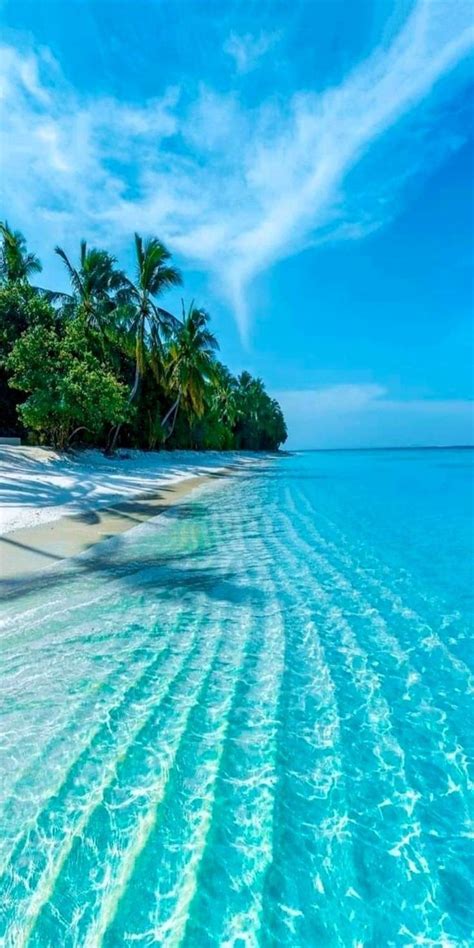 Only with nature at hong island krabi thailand – Artofit