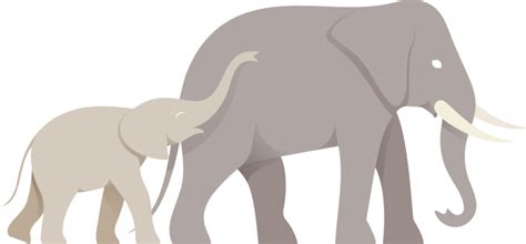 Evolution PNG 的图像结果