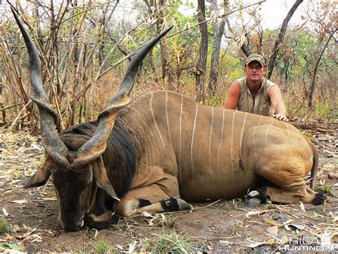 Lord derby eland from CAR | AfricaHunting.com