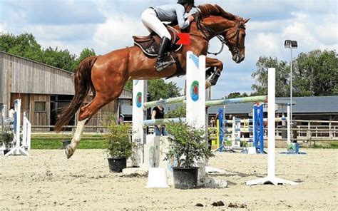 Voir les d&eacute;tails de l&rsquo;image associ&eacute;e. Saut d'obstacles. 550 participants au championnat du Morbihan | Le ...
