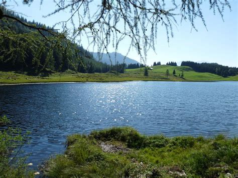 Doğa ve Manzara Resimleri (6. Katalog)