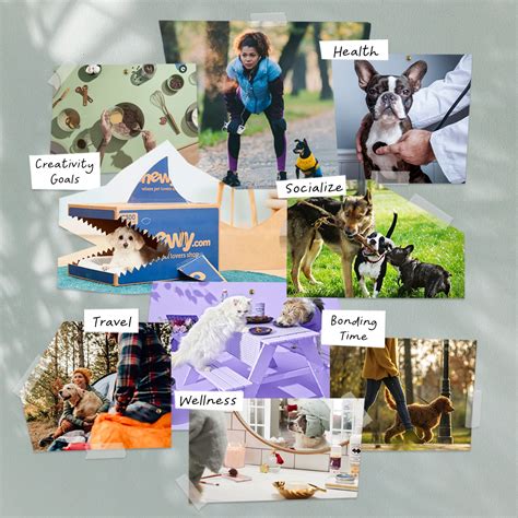Dog Vision Example