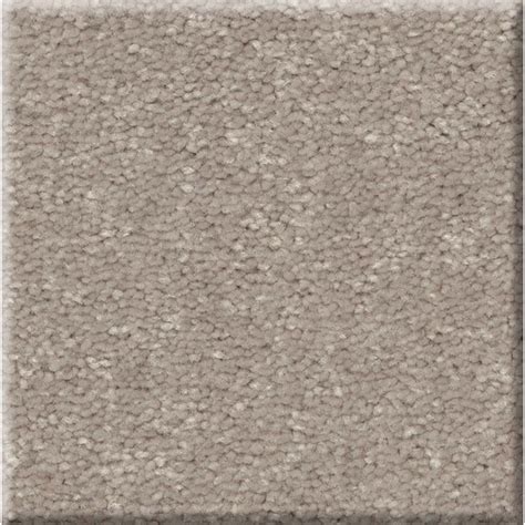 STAINMASTER Blue Diamonds III 15 Ft Summer Breeze Brown 73.1-oz sq yard ...
