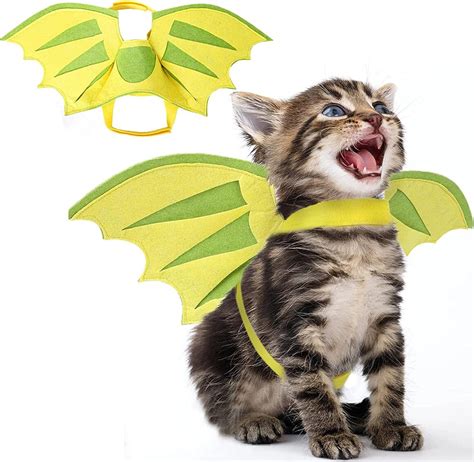 29 Cat Halloween Costumes That Are Funny Too!