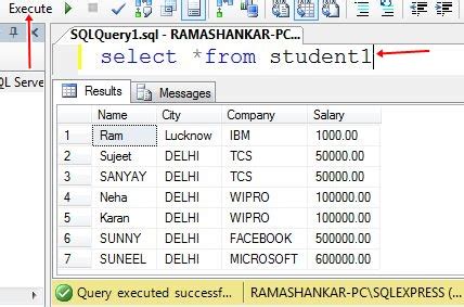 How to Display data in ReportViewer Control in asp.net web application ...