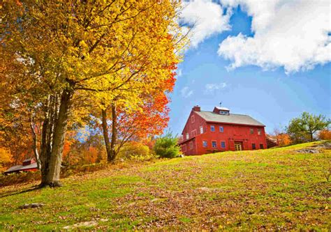 When to Plant Grass Seed in Vermont