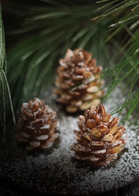 Pine Cone Confections and Hidden Wonders — The Wondersmith | Pine cones ...