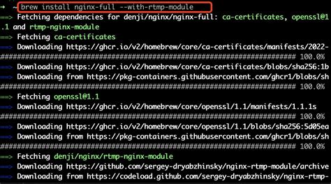 Image result for Nginx Stat Rtmp