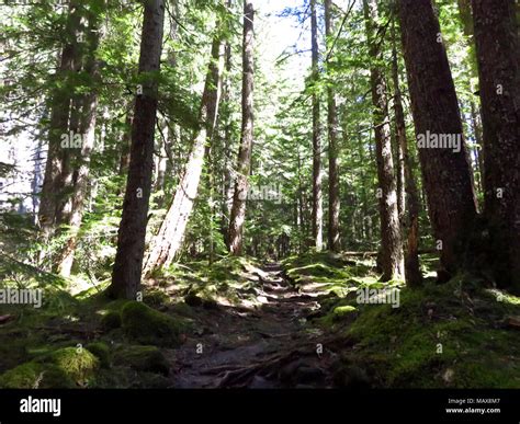 Ramona falls hike hi-res stock photography and images - Alamy