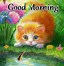 Image result for Animated Good Morning Funny