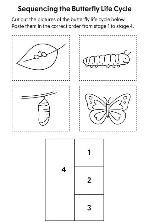 Sequencing the Butterfly Life Cycle Worksheet - Download & Print Now!