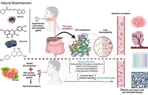 Role of Natural Phytoconstituents as a Potential Bioenhancer of Anti ...