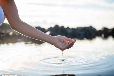 Collaborative Assessment 的图像结果