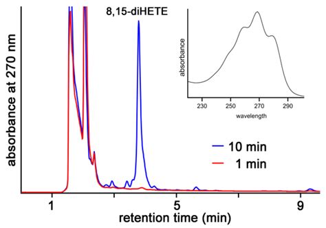 Functional Characterization of Mouse and Human Arachidonic Acid ...