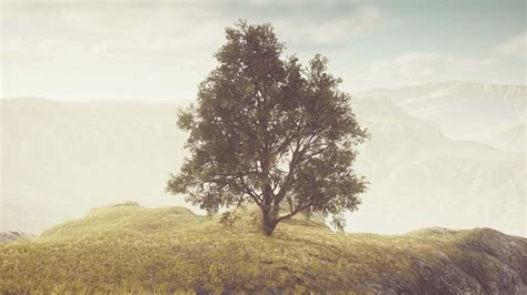 Image result for About Spring