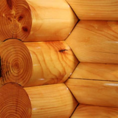 Log Home Build 的图像结果