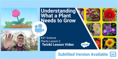 KS1 (Ages 5-7) Science: What Plants Need to Grow Video Lesson