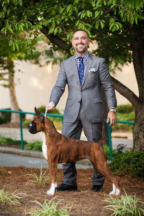 Image result for Boxer Dog Poop