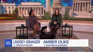 Image result for Alien Visitors Caught On Camera