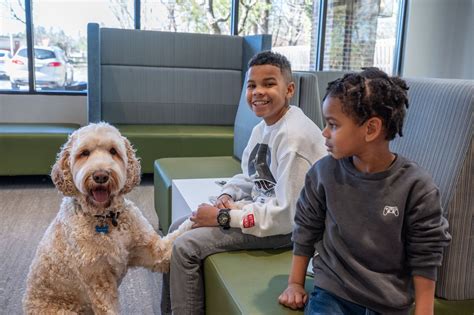 Why age 7 for your child’s first orthodontic exam? | Russell Orthodontics