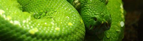 For Loop Python Giraffe Academy 的图像结果