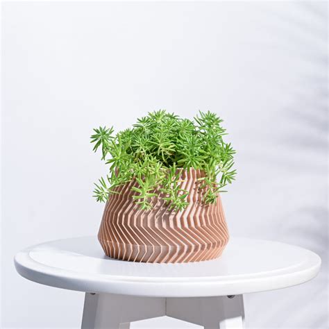 Buy Premium Wooden Planters for Plants | Stylish & Eco-Friendly – Ugaoo