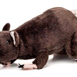 Image result for Rous Princess Bride