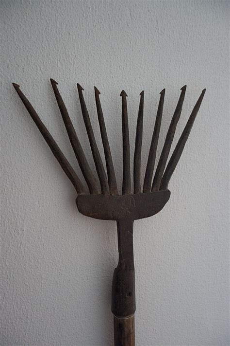 Image result for Using a Medieval Harrow