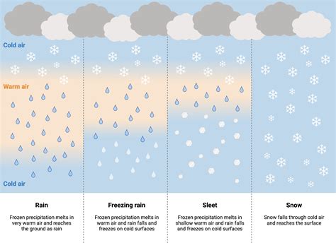 Precipitation Types