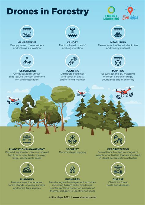 Forestry Technology 的图像结果