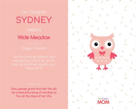 What Does Sydney Mean In The Bible - Bible Wisdom Hub