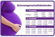 sauna schwangerschaft 1 trimester schwangerschaft und baby schwangerschaftsblog sauna schwangerschaft 1 trimester schwangerschaft und baby schwangerschaftsblog