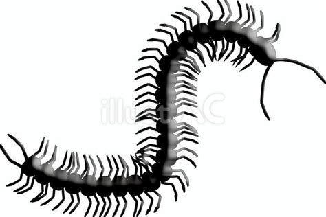 Image result for Python Coding Worksheets