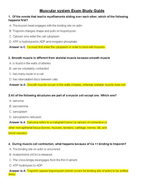 Muscle System Exam Study Guide (Course Code: MUSC 101) - Studocu