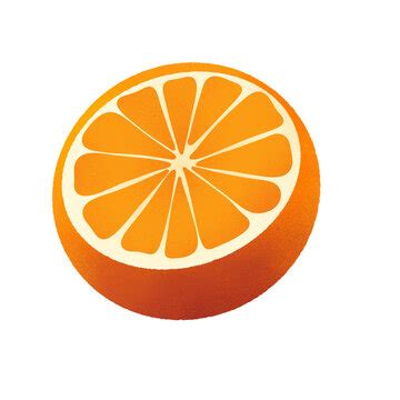 Image result for Create Database Name in MySQL