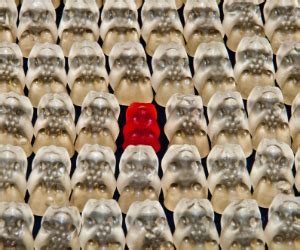 Image result for What Is Normal