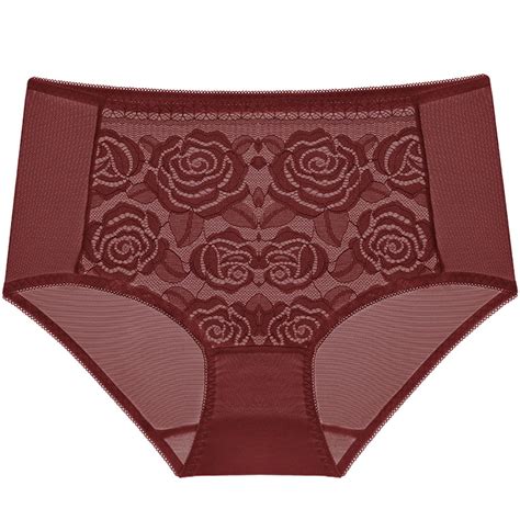Dasayo Plus Size Women's Panties High Cut Floral Lace Full Coverage ...