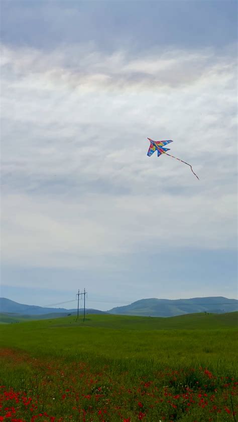 Kite 的图像结果