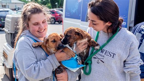 Find a new furry best friend at Humane Animal Partners Delaware