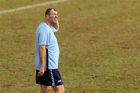 Rugby World Cup 2023 的图像结果